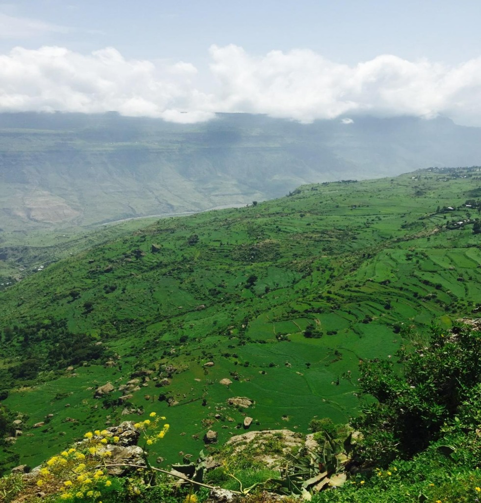 D:\交接表\照片匯總\國管部\經(jīng)管部\埃塞自然風(fēng)光\Potuguese Bridge波季奇大橋\702810235695173913.jpg